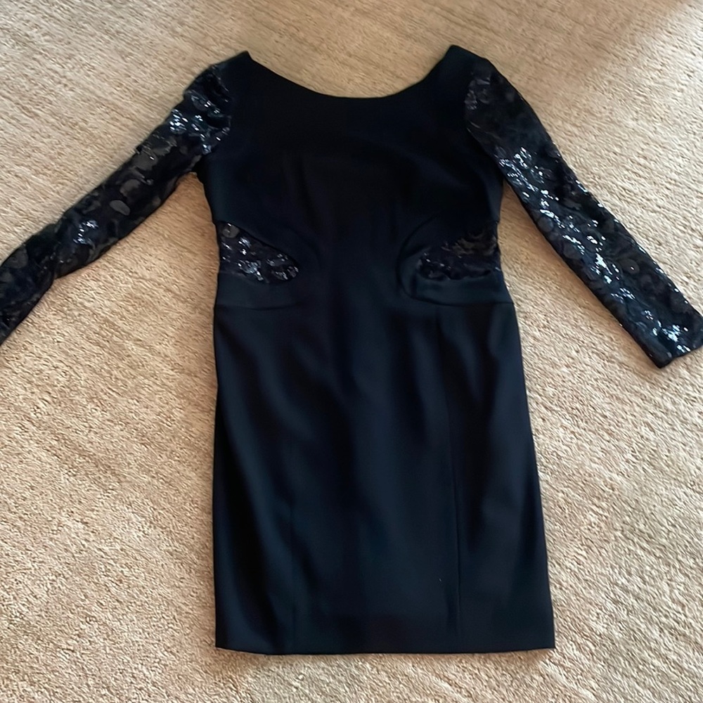 Designer Basler  dress . Shortened to fit 5 ft Tall . Stunning with sequins.